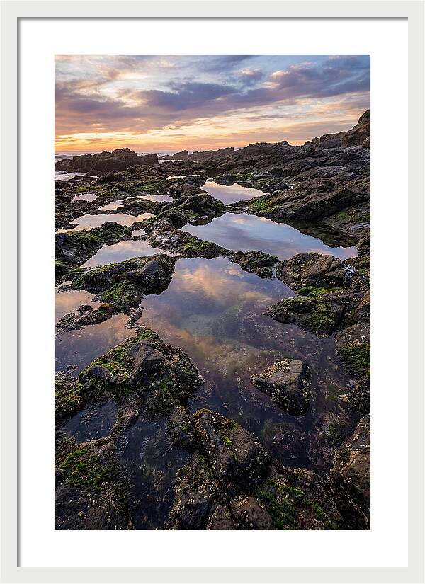 Coastal Serenity