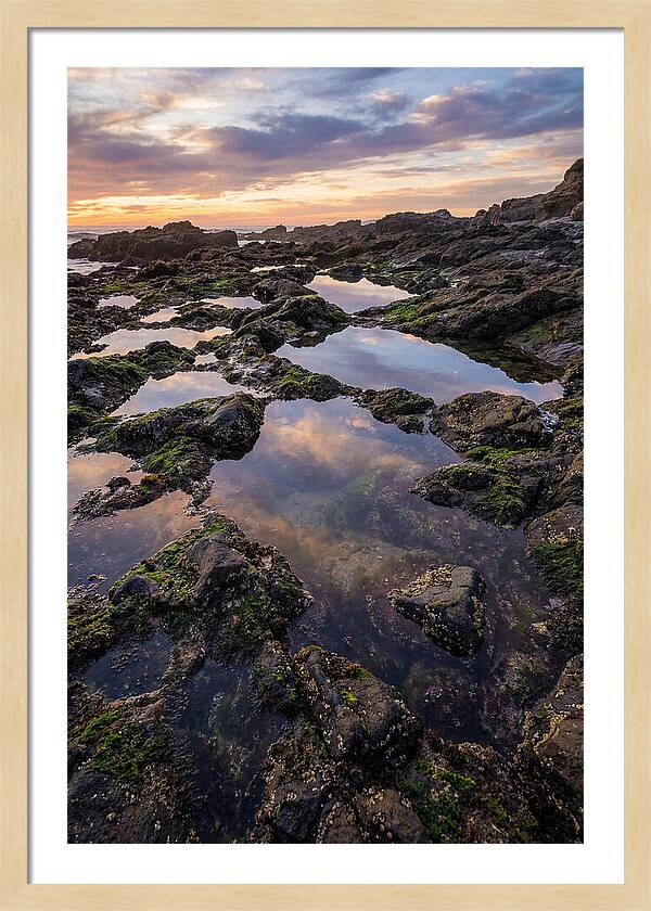 Coastal Serenity