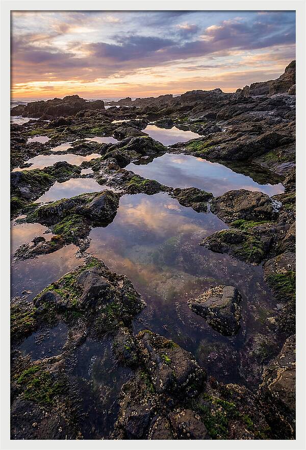 Coastal Serenity
