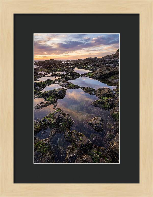 Coastal Serenity