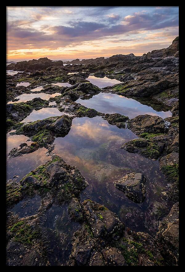 Coastal Serenity