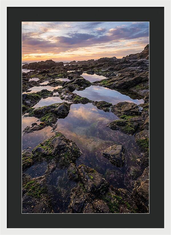 Coastal Serenity