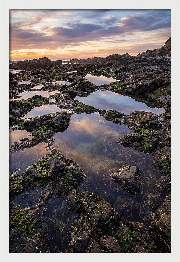 Coastal Serenity