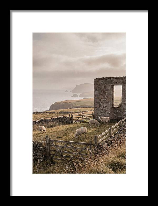 Coastal Serenity With Grazing Sheep