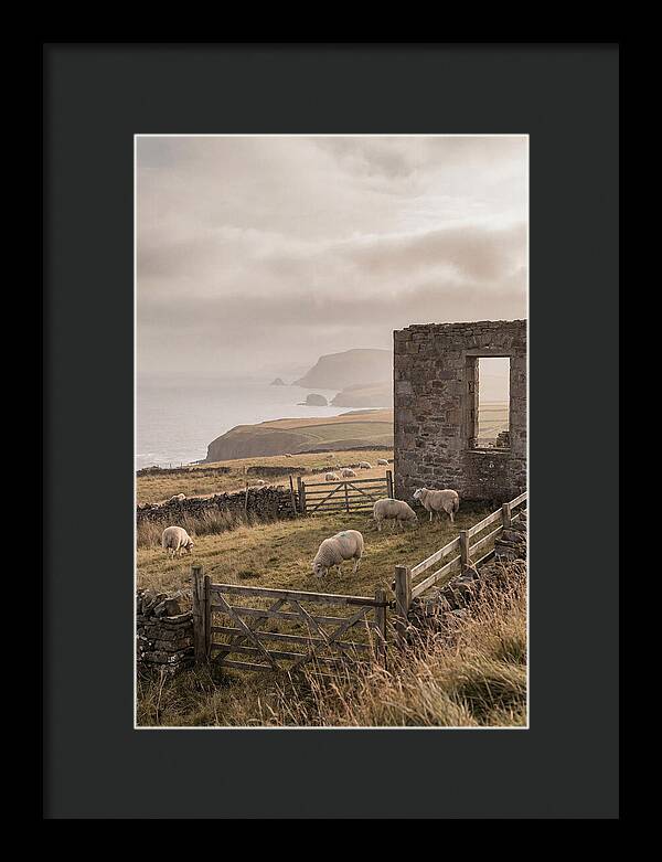 Coastal Serenity With Grazing Sheep