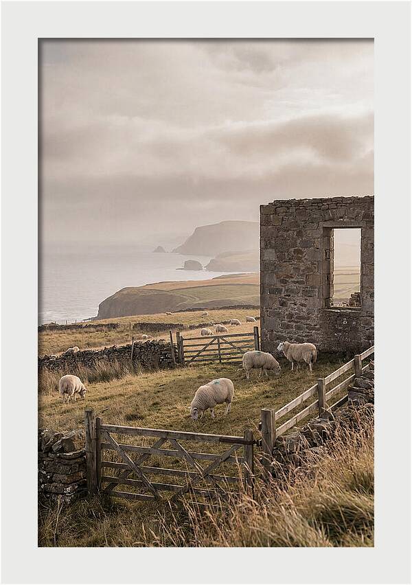 Coastal Serenity With Grazing Sheep