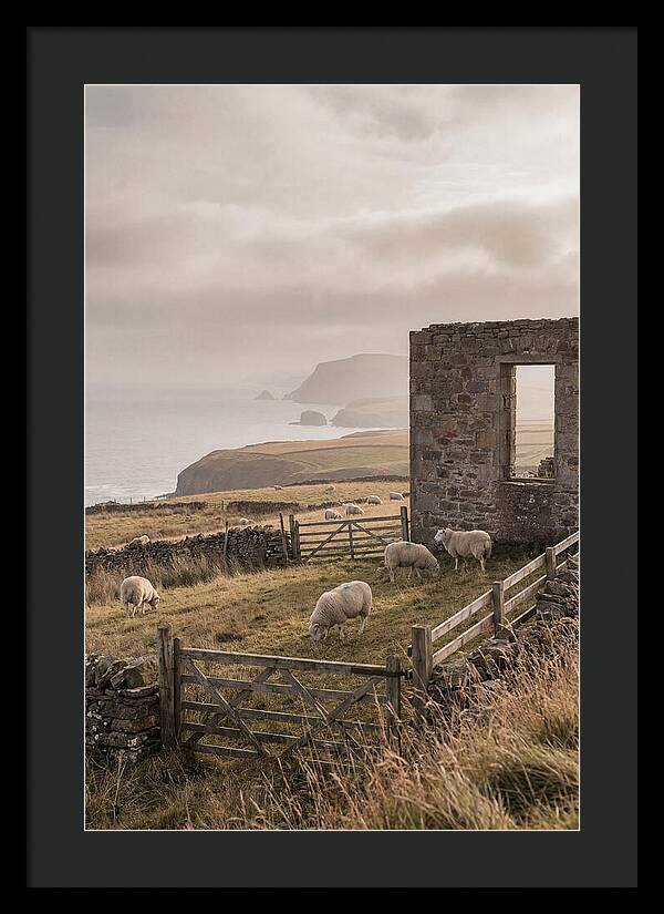 Coastal Serenity With Grazing Sheep