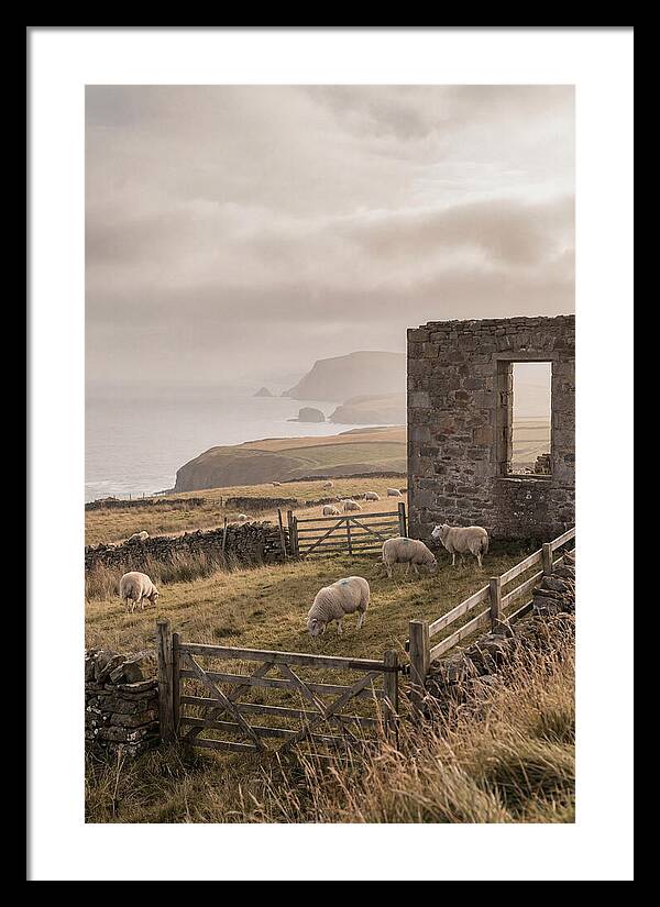Coastal Serenity With Grazing Sheep