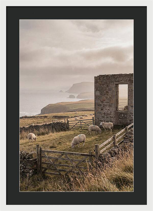 Coastal Serenity With Grazing Sheep