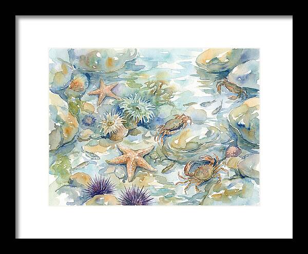 Coastal Tide Pool Treasures