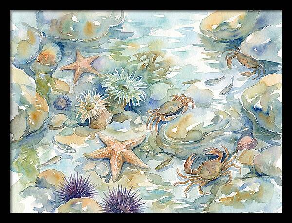 Coastal Tide Pool Treasures
