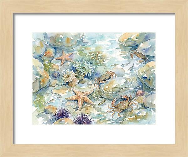 Coastal Tide Pool Treasures