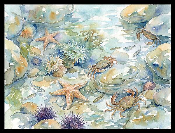 Coastal Tide Pool Treasures