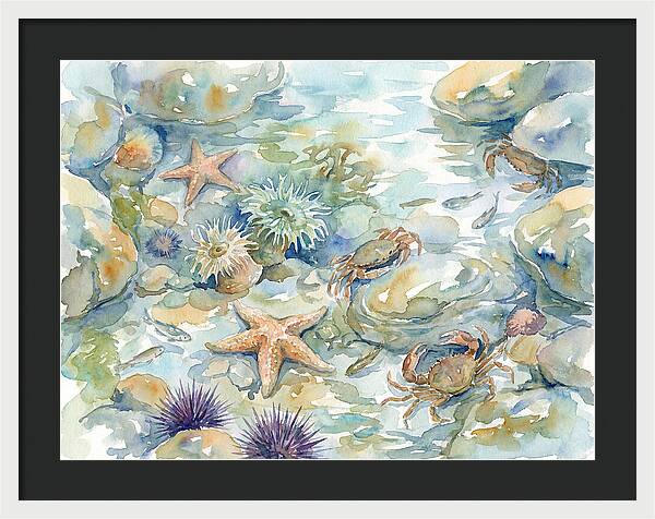 Coastal Tide Pool Treasures