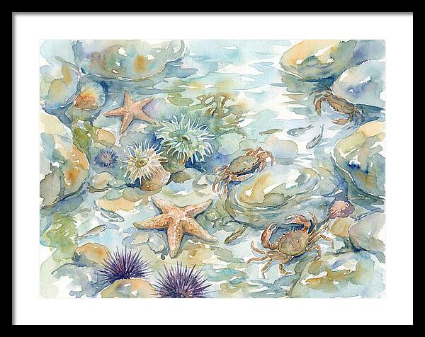 Coastal Tide Pool Treasures