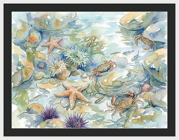 Coastal Tide Pool Treasures