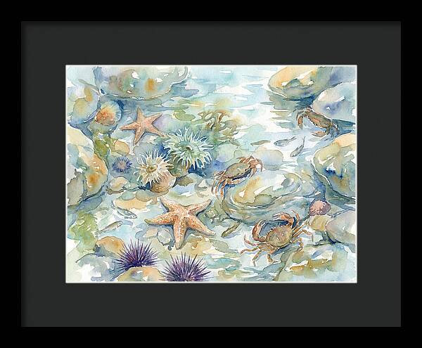 Coastal Tide Pool Treasures