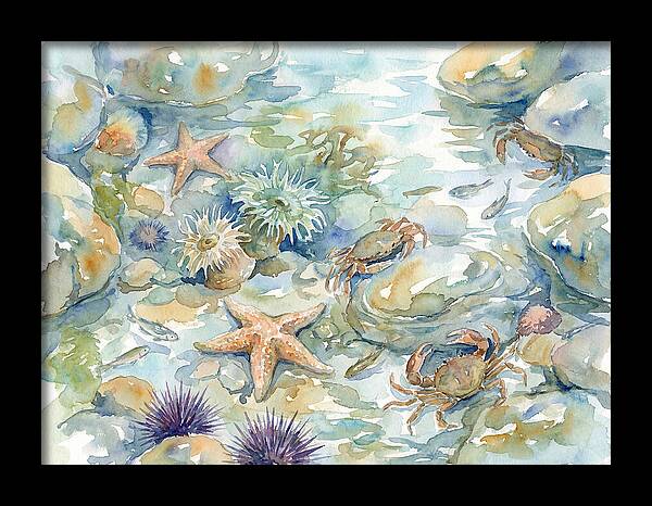 Coastal Tide Pool Treasures