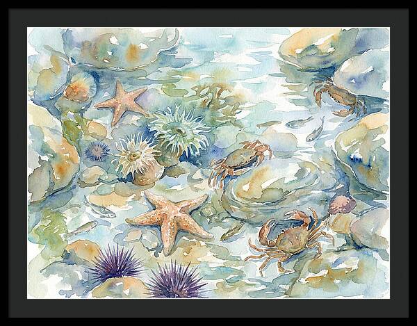 Coastal Tide Pool Treasures