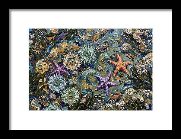 Coastal Treasures Unveiled