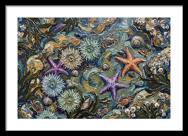 Coastal Treasures Unveiled