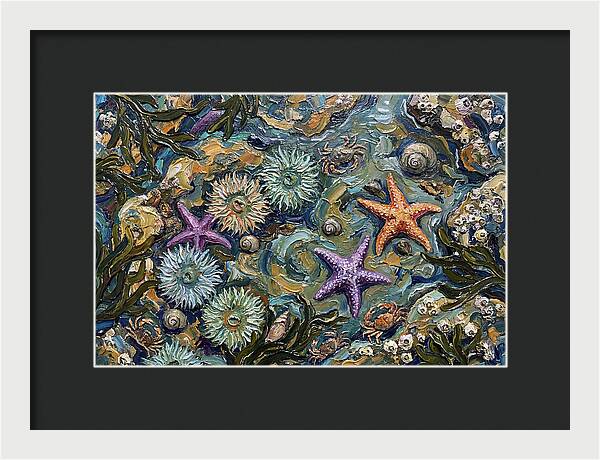 Coastal Treasures Unveiled