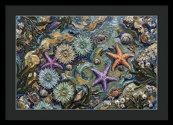 Coastal Treasures Unveiled