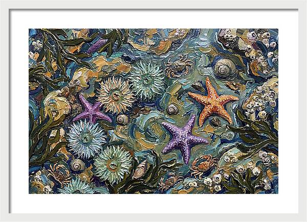 Coastal Treasures Unveiled