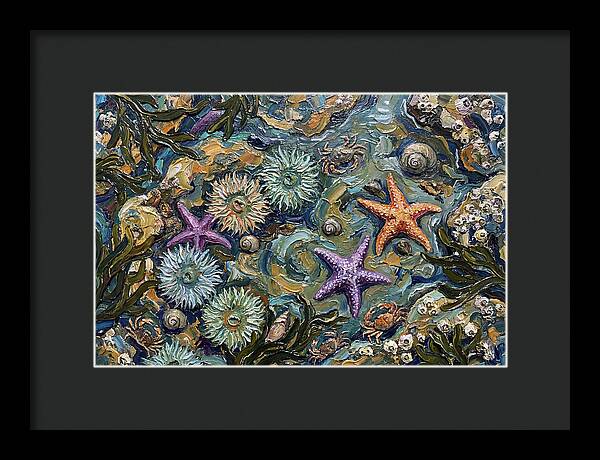 Coastal Treasures Unveiled