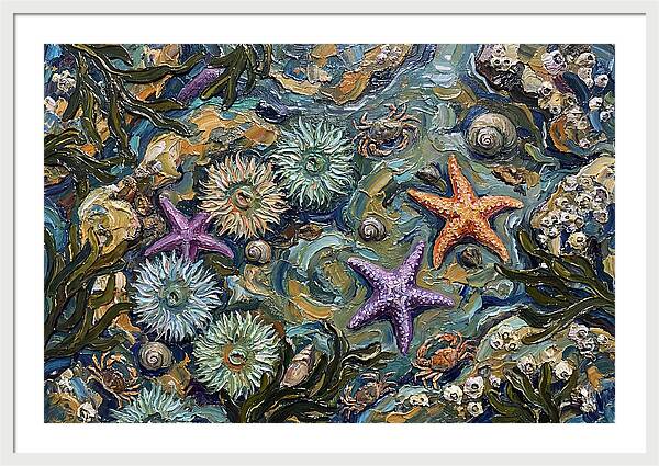 Coastal Treasures Unveiled