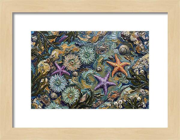 Coastal Treasures Unveiled