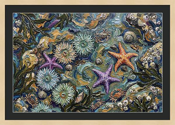 Coastal Treasures Unveiled