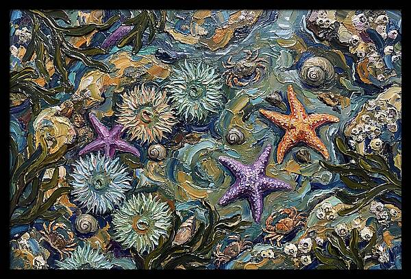 Coastal Treasures Unveiled