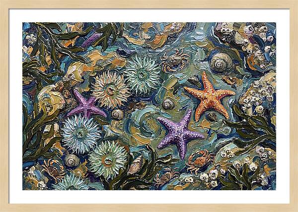 Coastal Treasures Unveiled