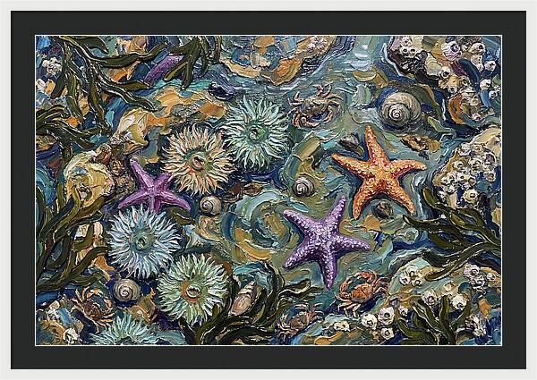 Coastal Treasures Unveiled