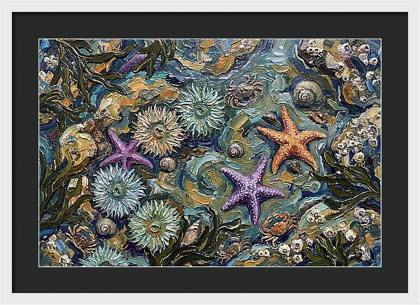 Coastal Treasures Unveiled
