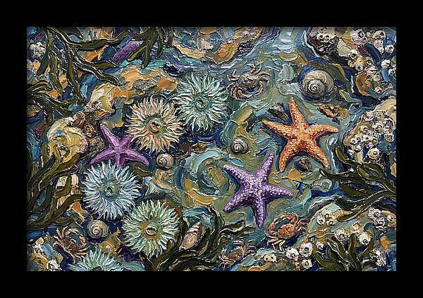 Coastal Treasures Unveiled