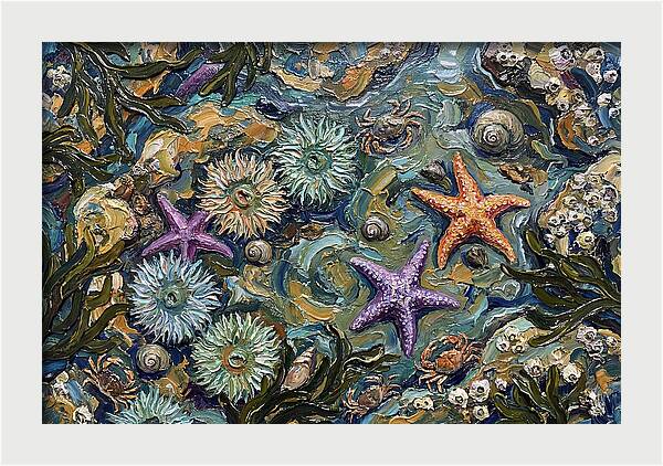 Coastal Treasures Unveiled