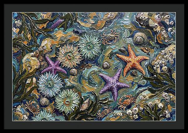 Coastal Treasures Unveiled