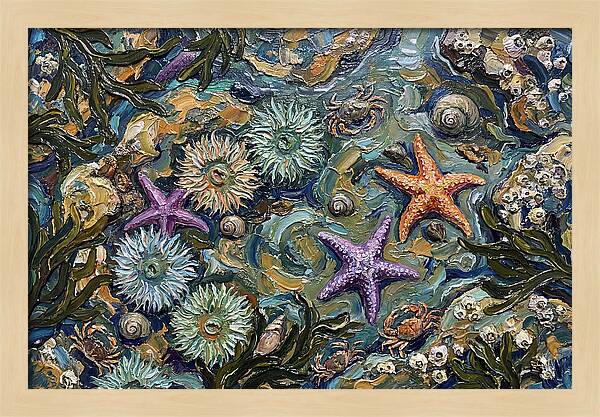 Coastal Treasures Unveiled