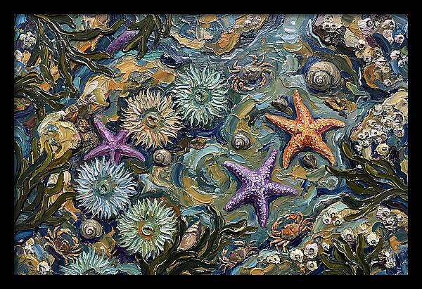 Coastal Treasures Unveiled