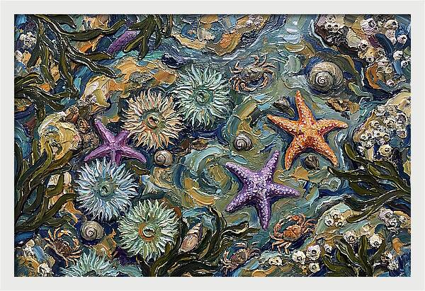 Coastal Treasures Unveiled