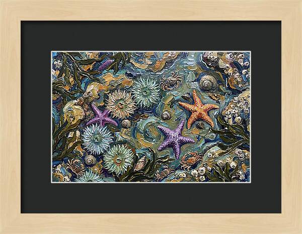 Coastal Treasures Unveiled