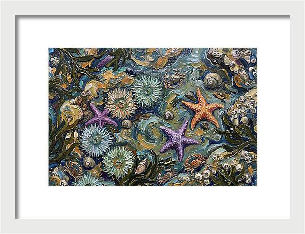 Coastal Treasures Unveiled