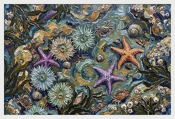 Coastal Treasures Unveiled