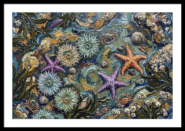 Coastal Treasures Unveiled