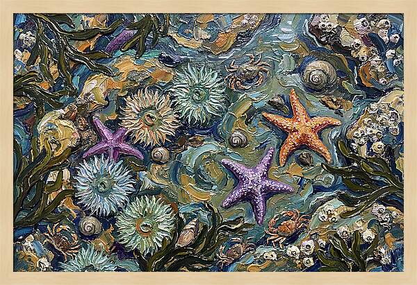 Coastal Treasures Unveiled