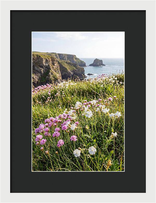 Coastal Wildflower Meadow