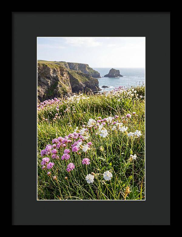 Coastal Wildflower Meadow