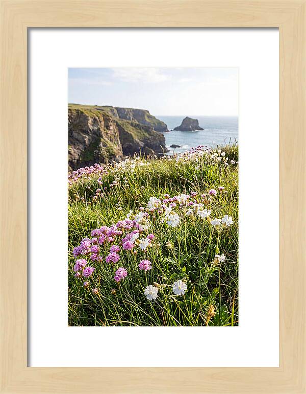 Coastal Wildflower Meadow